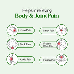 Zero Pain Oil